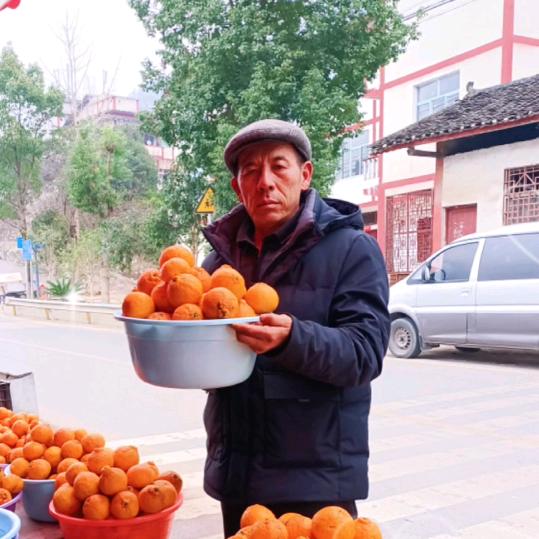 果农冉大哥，种子，农药店