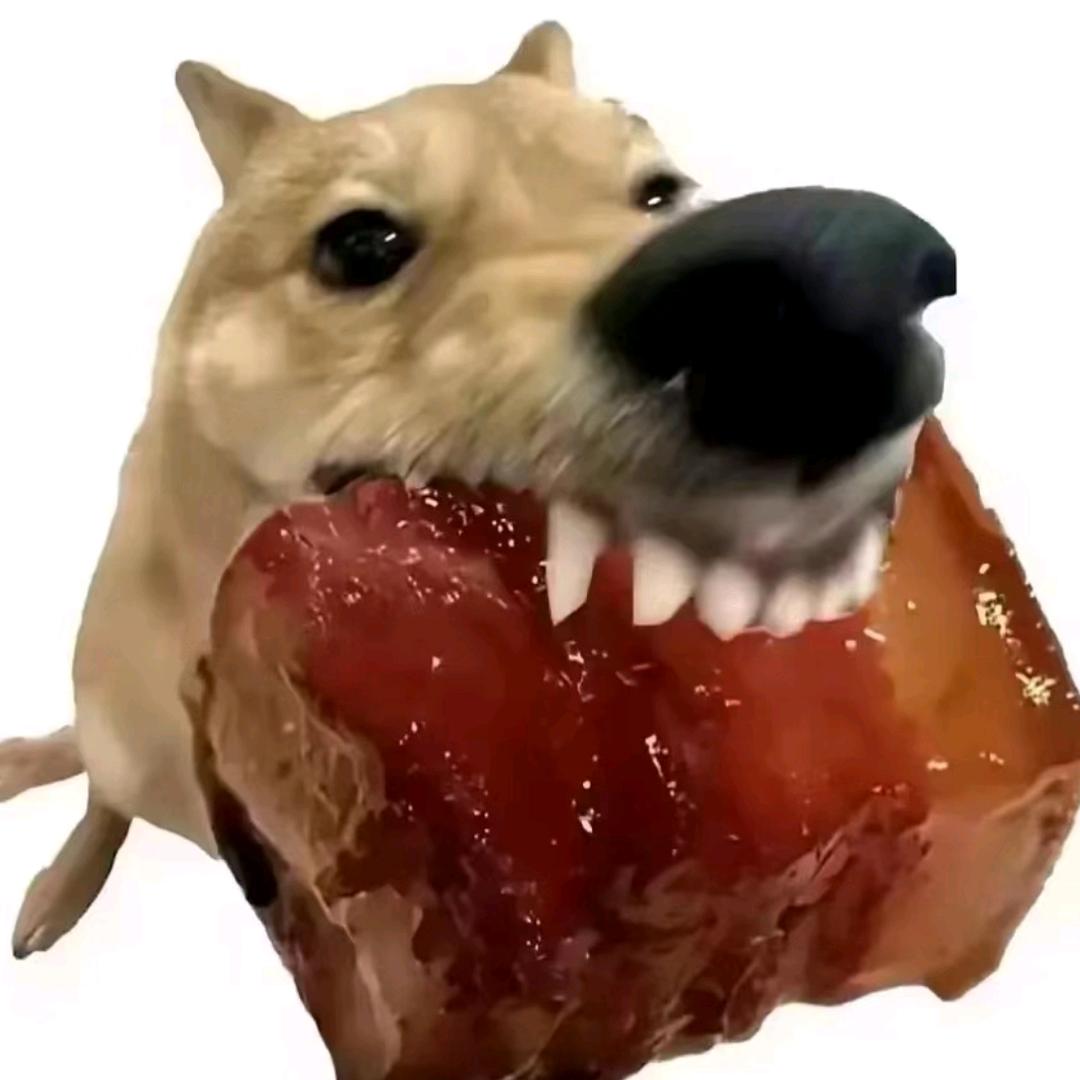 小鱼娱一娱
