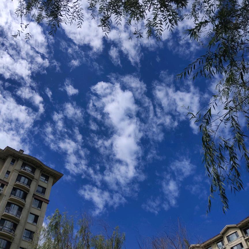 静石