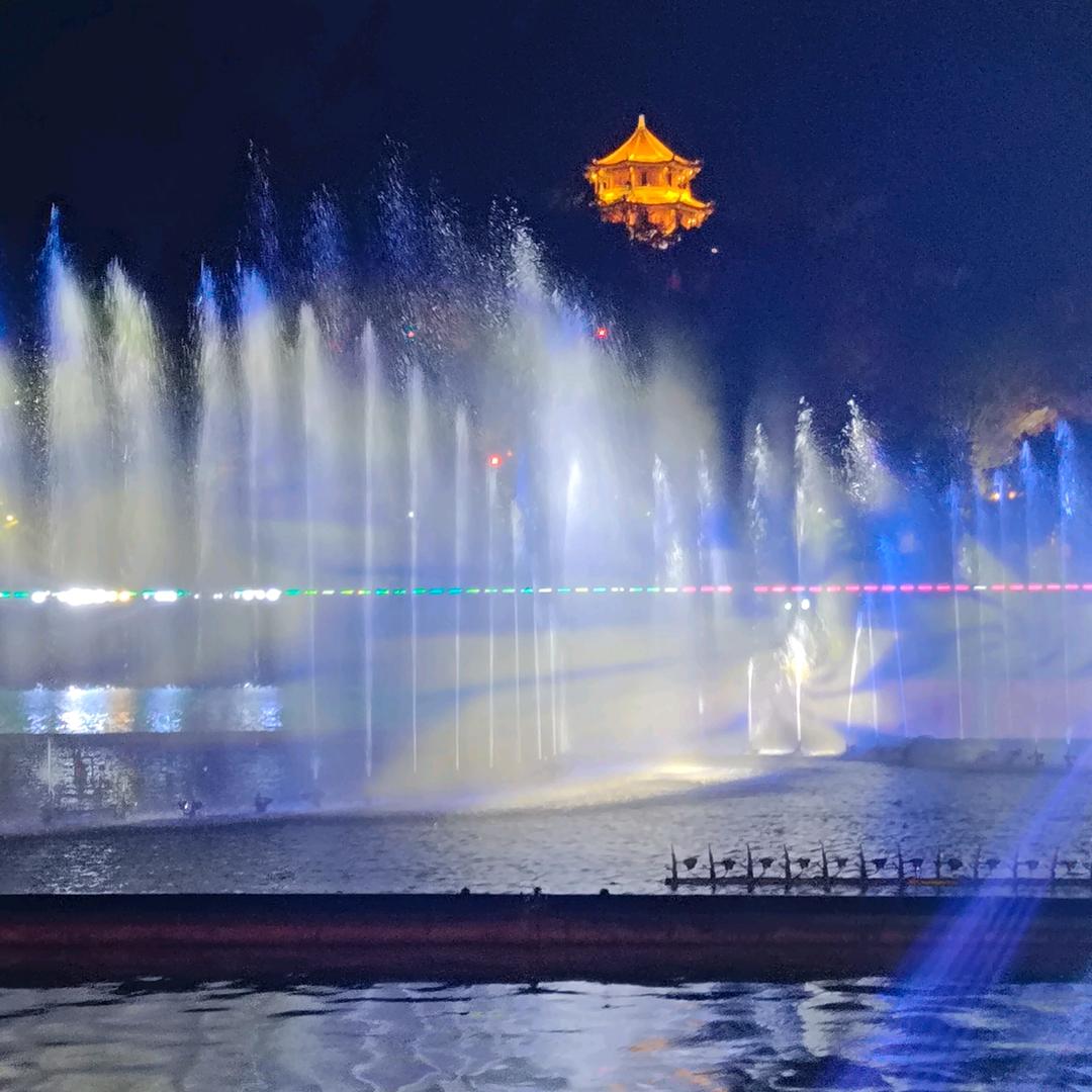 杨梅