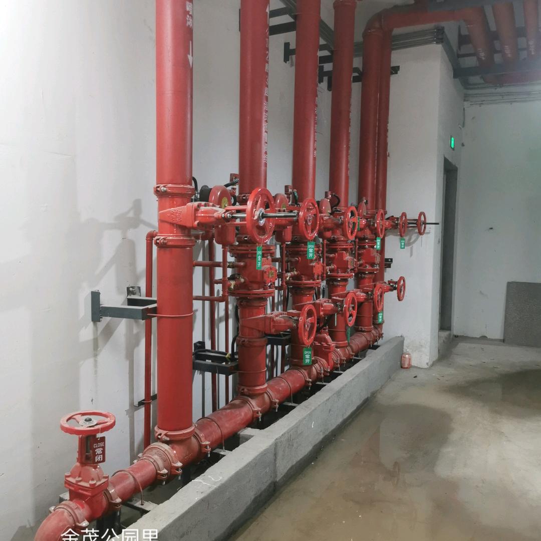 🎸志在高锋🎸