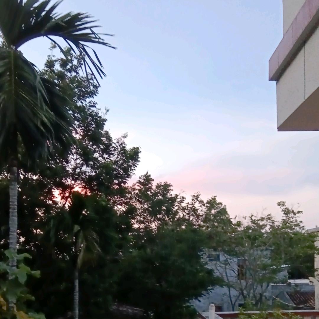 四妹，