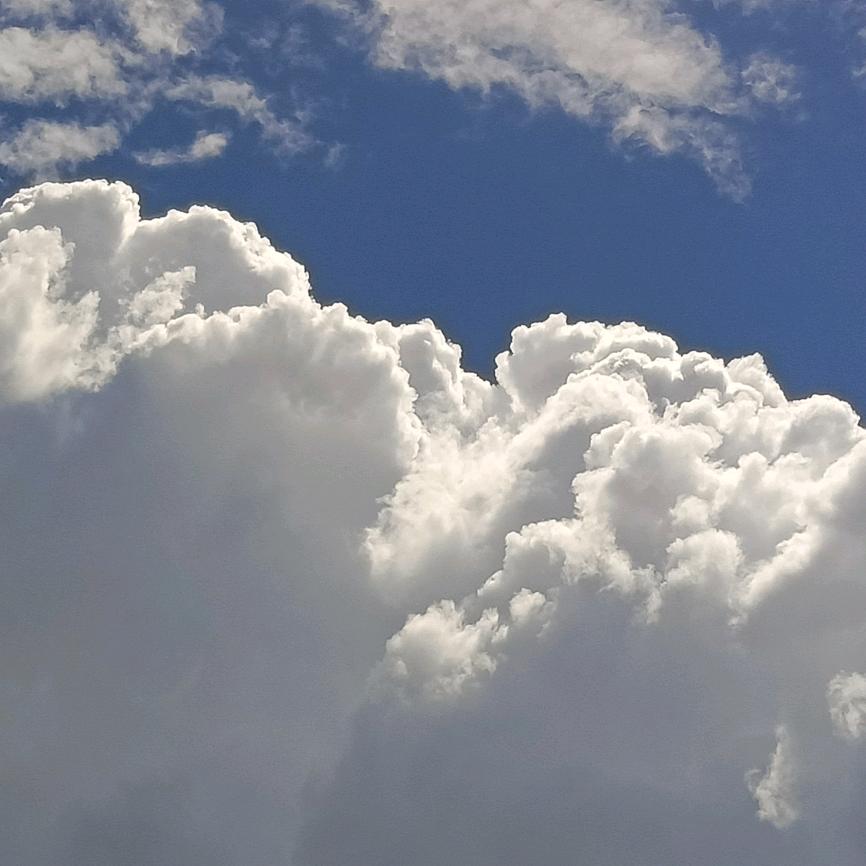 向往(⑉°з°)-♡