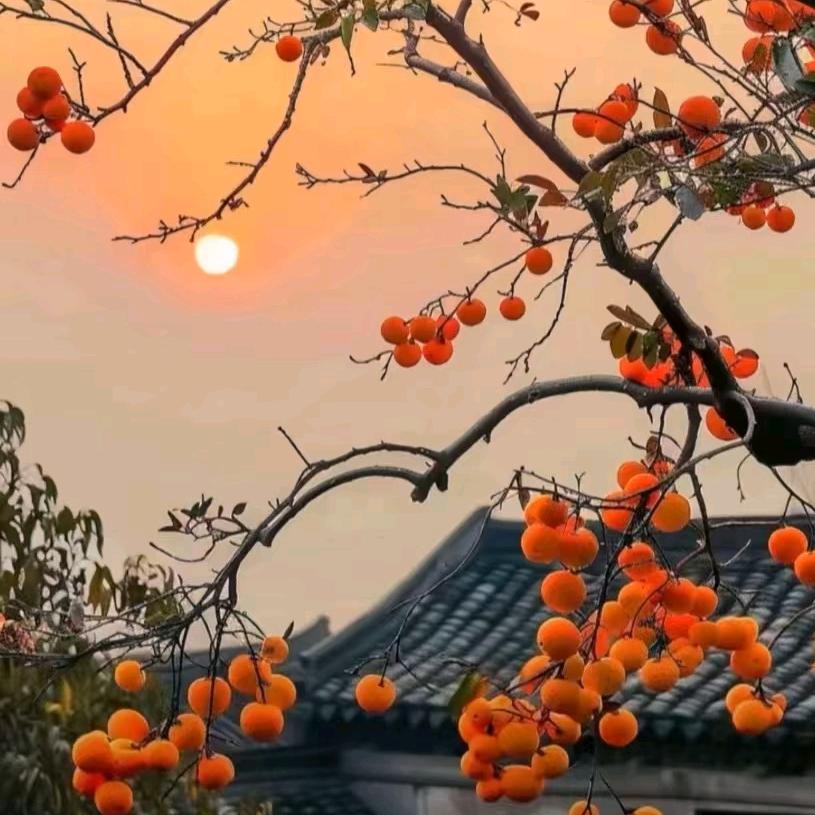 中道智能化防灭火系统定制专家