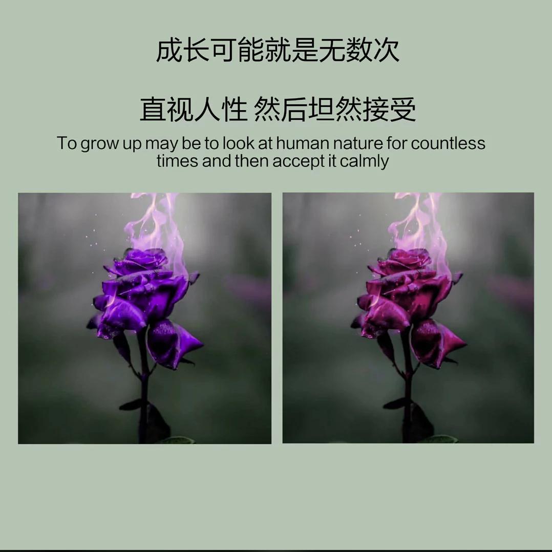 千城