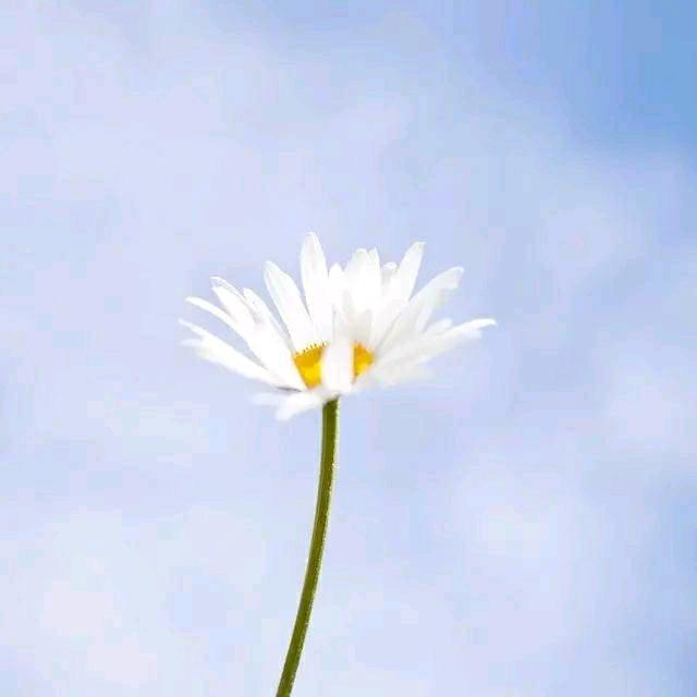 靠你了菲说