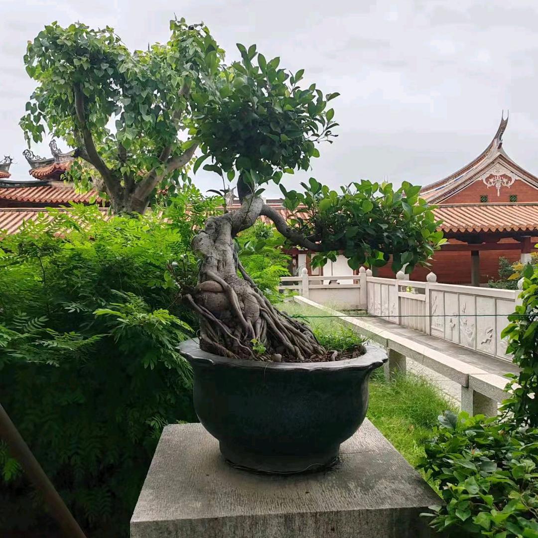 ？？？？？？？？