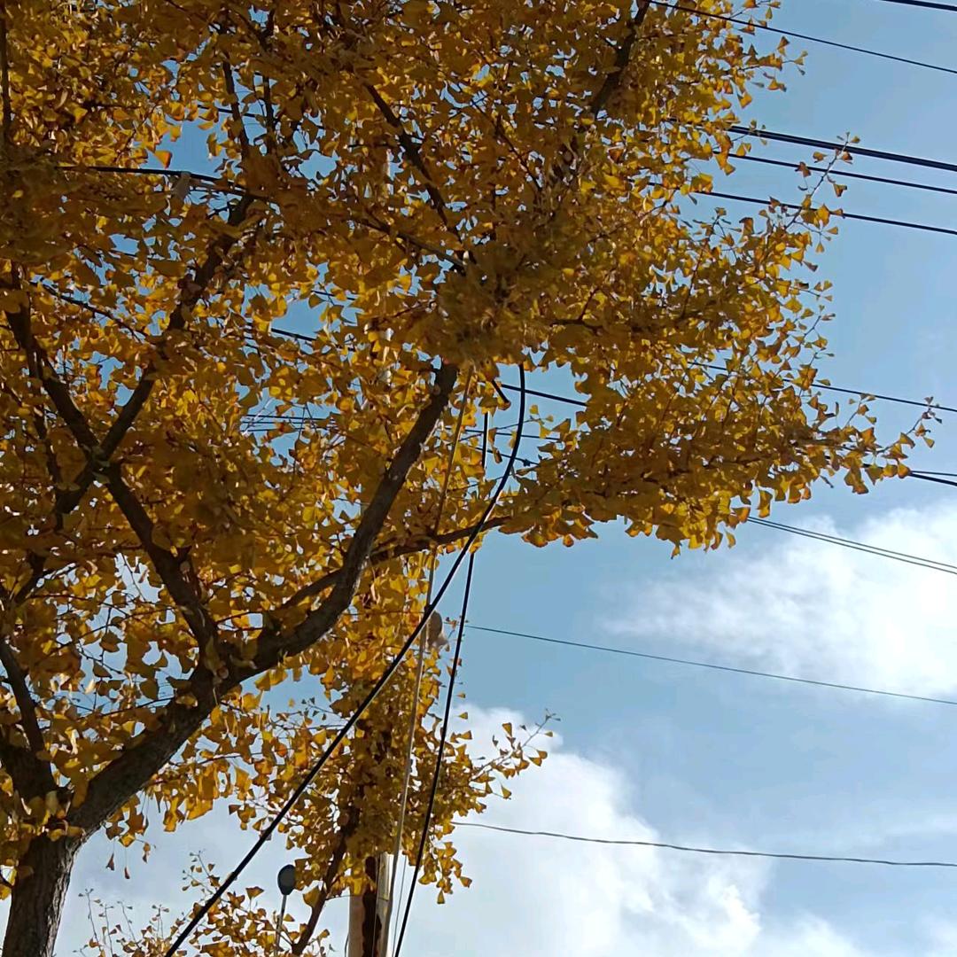 阳光