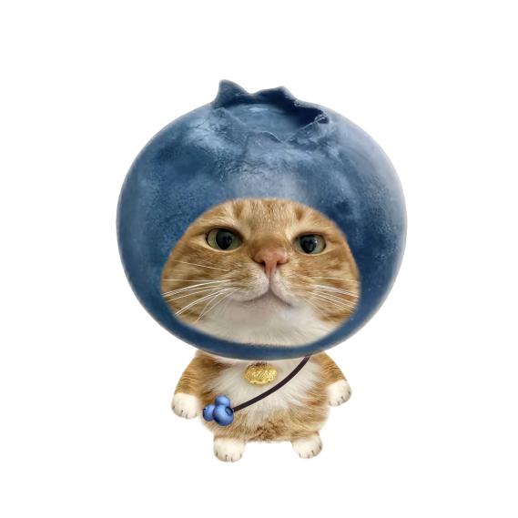 鱼与海