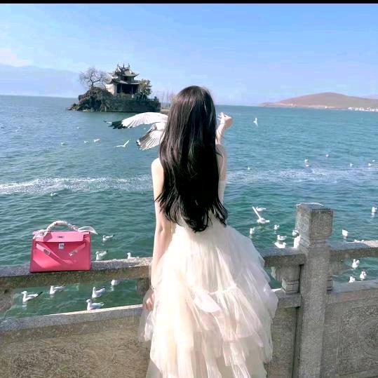 小雅雅💕