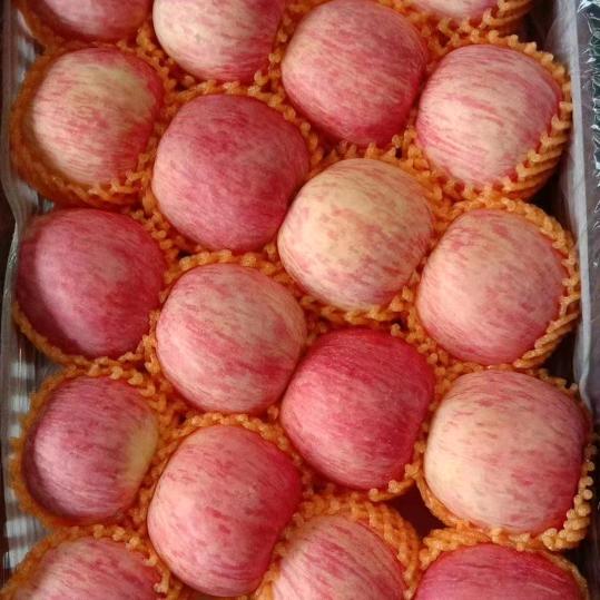 鼎信果蔬购销基地