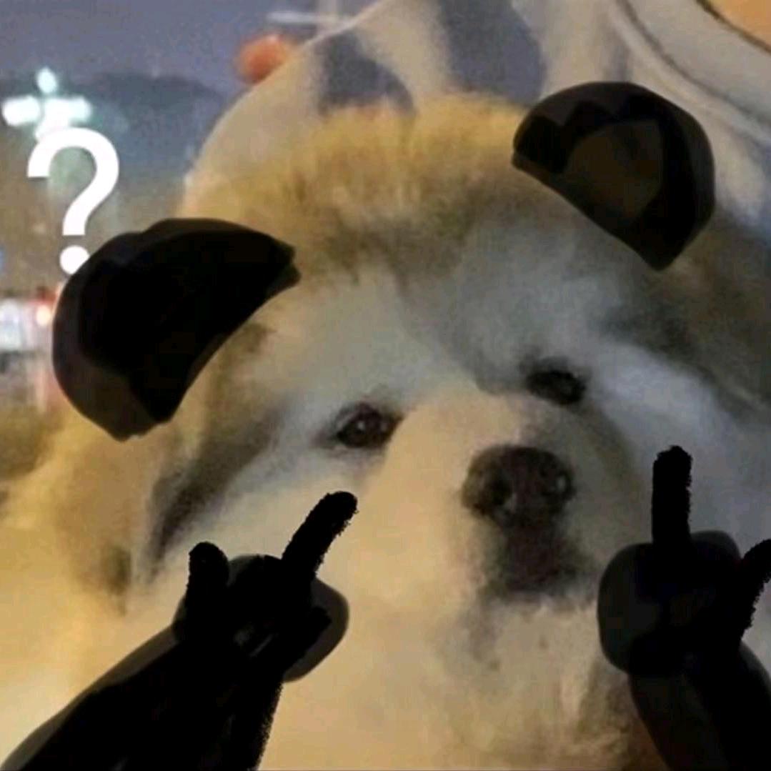 苦瓜emo大王🌕