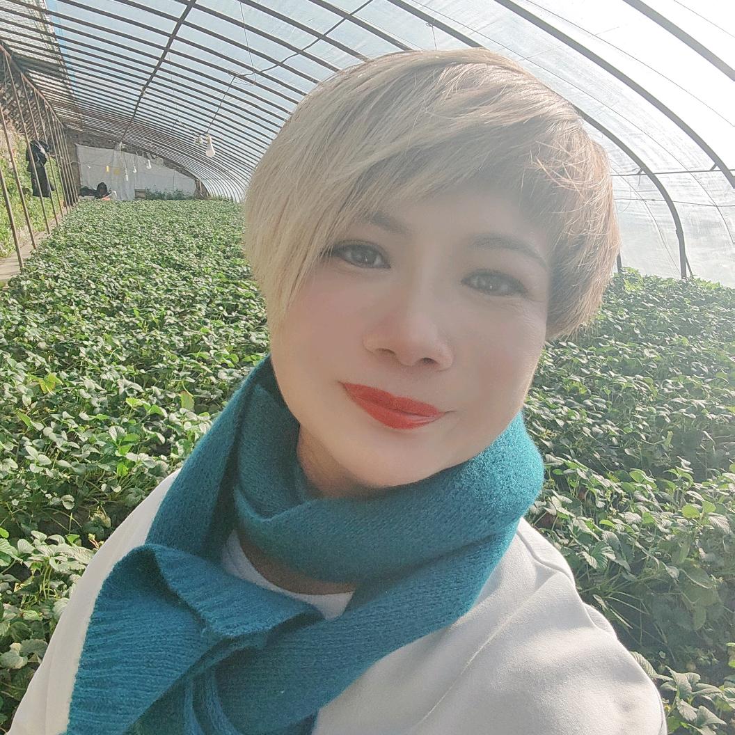 敬请等待