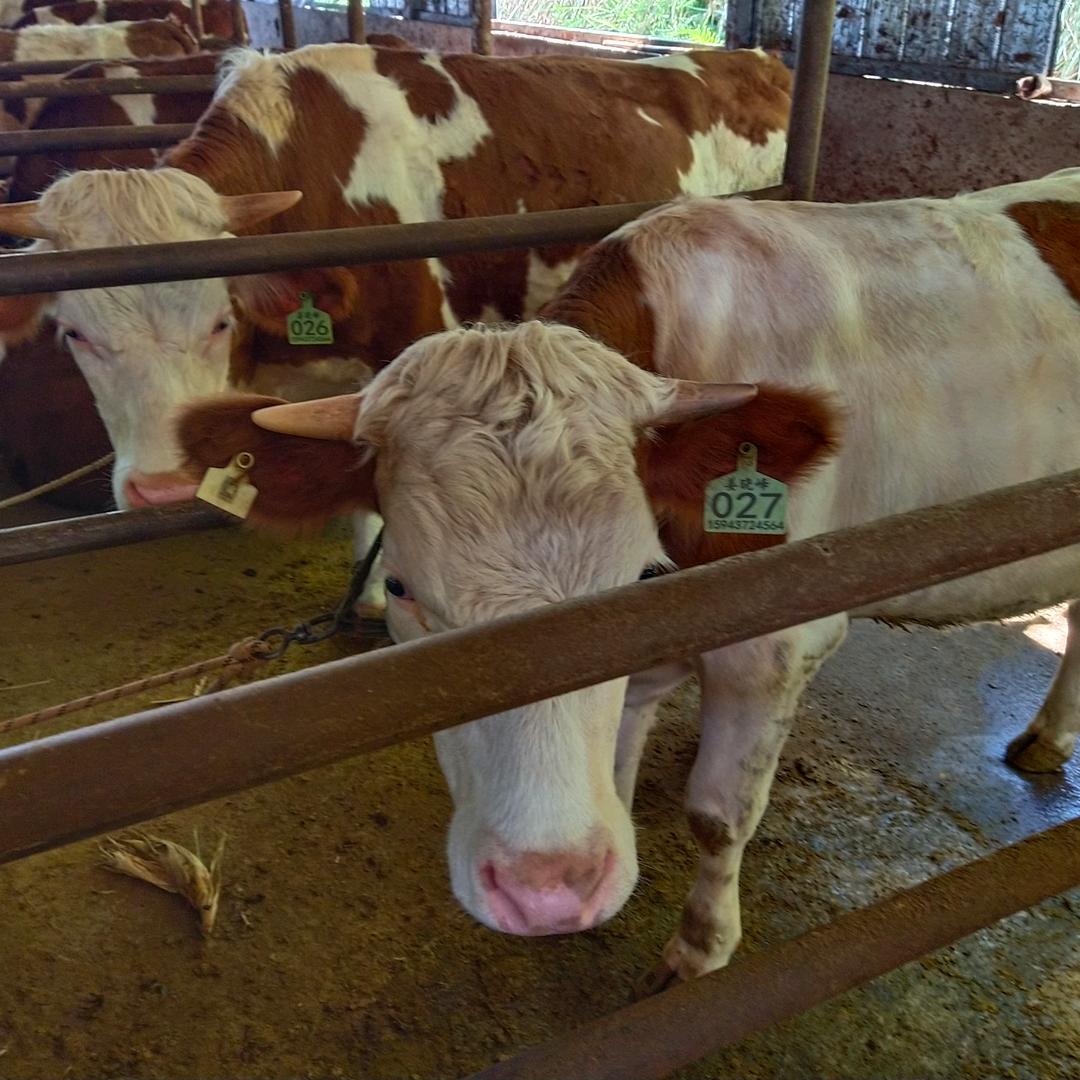 玉金山生态农场