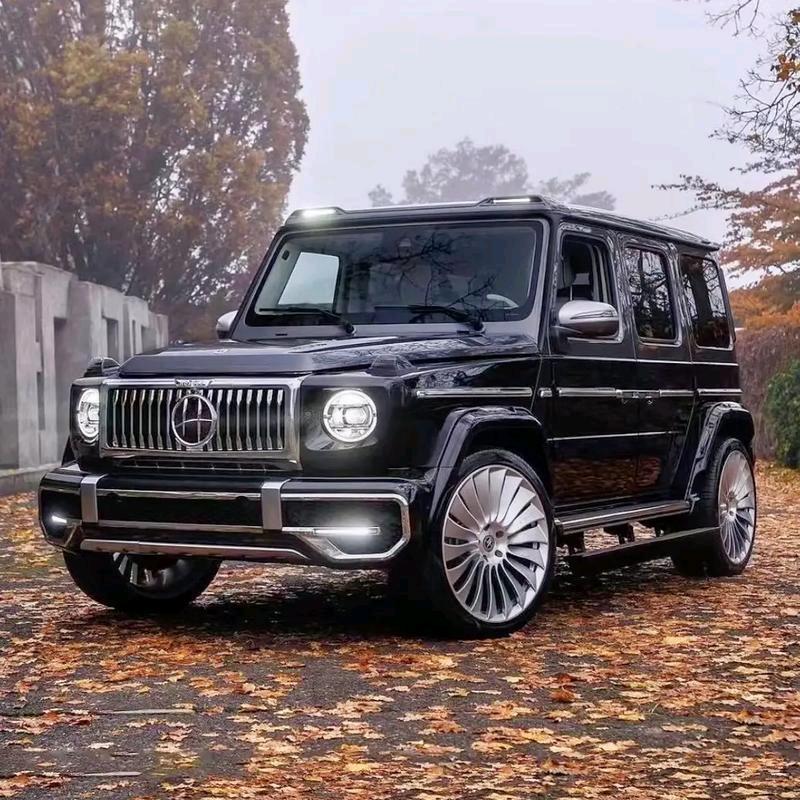 每天打卡签到有惊喜