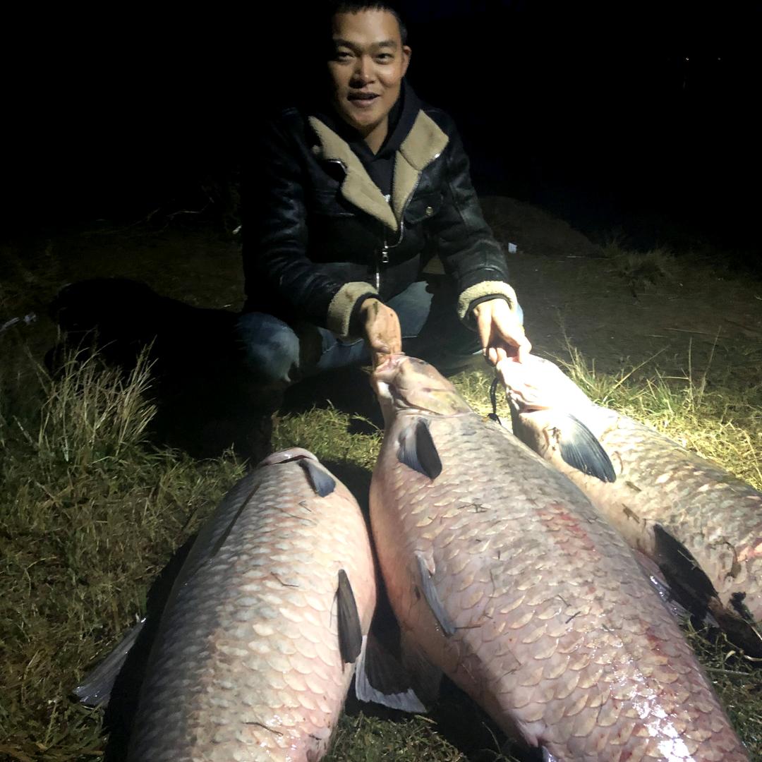 谷麦钓手石头