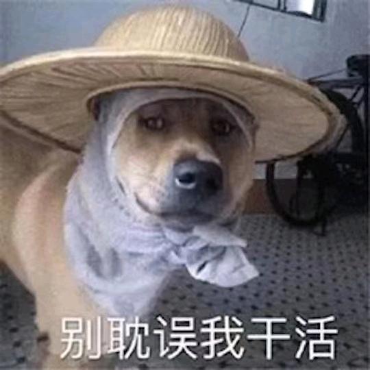 烂好人丶