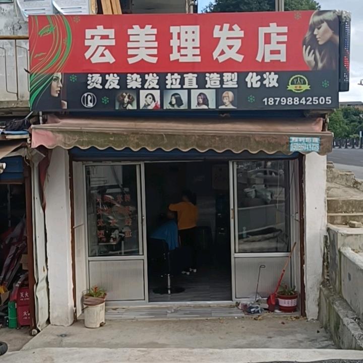 猫咪月季