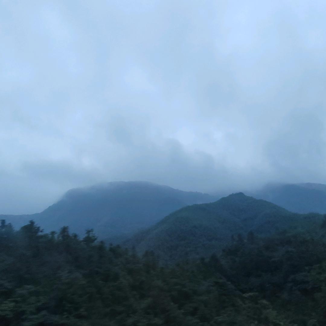 ㅤㅤ   ‍ㅤㅤ   ‍ㅤㅤ   ‍ㅤㅤ