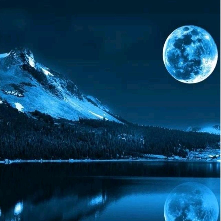 正解国学0354慈学(jiào)