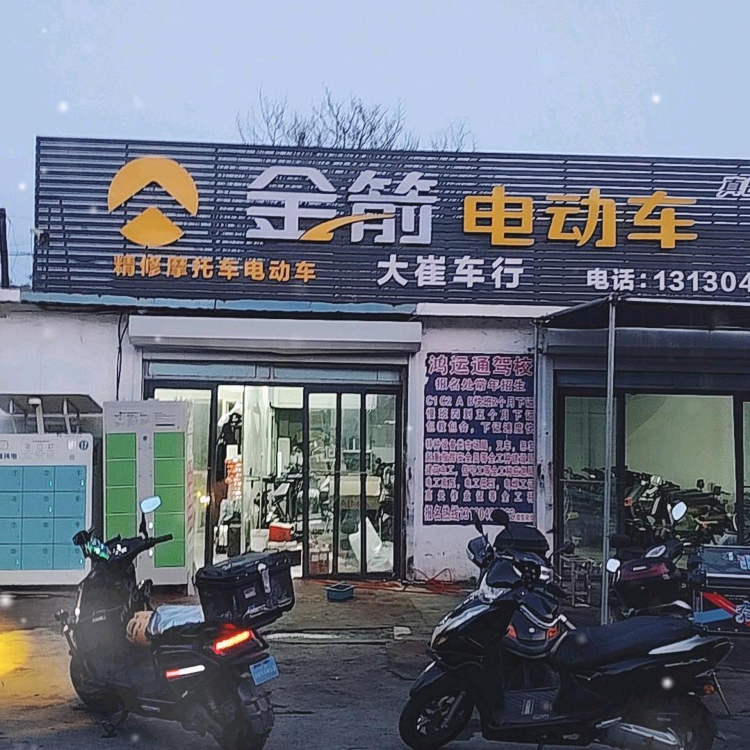 大崔电动车(天鸿展视界店）