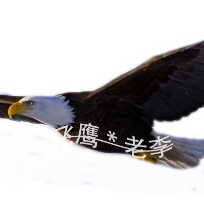 学FPV的退休老头