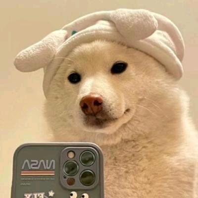 问心（明日之后）