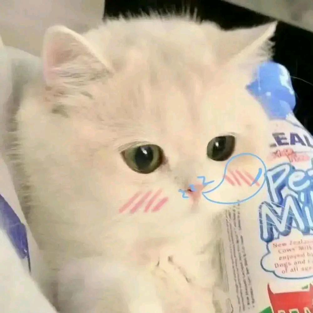 (๑•̀ㅂ•́)ﾉ➹♡