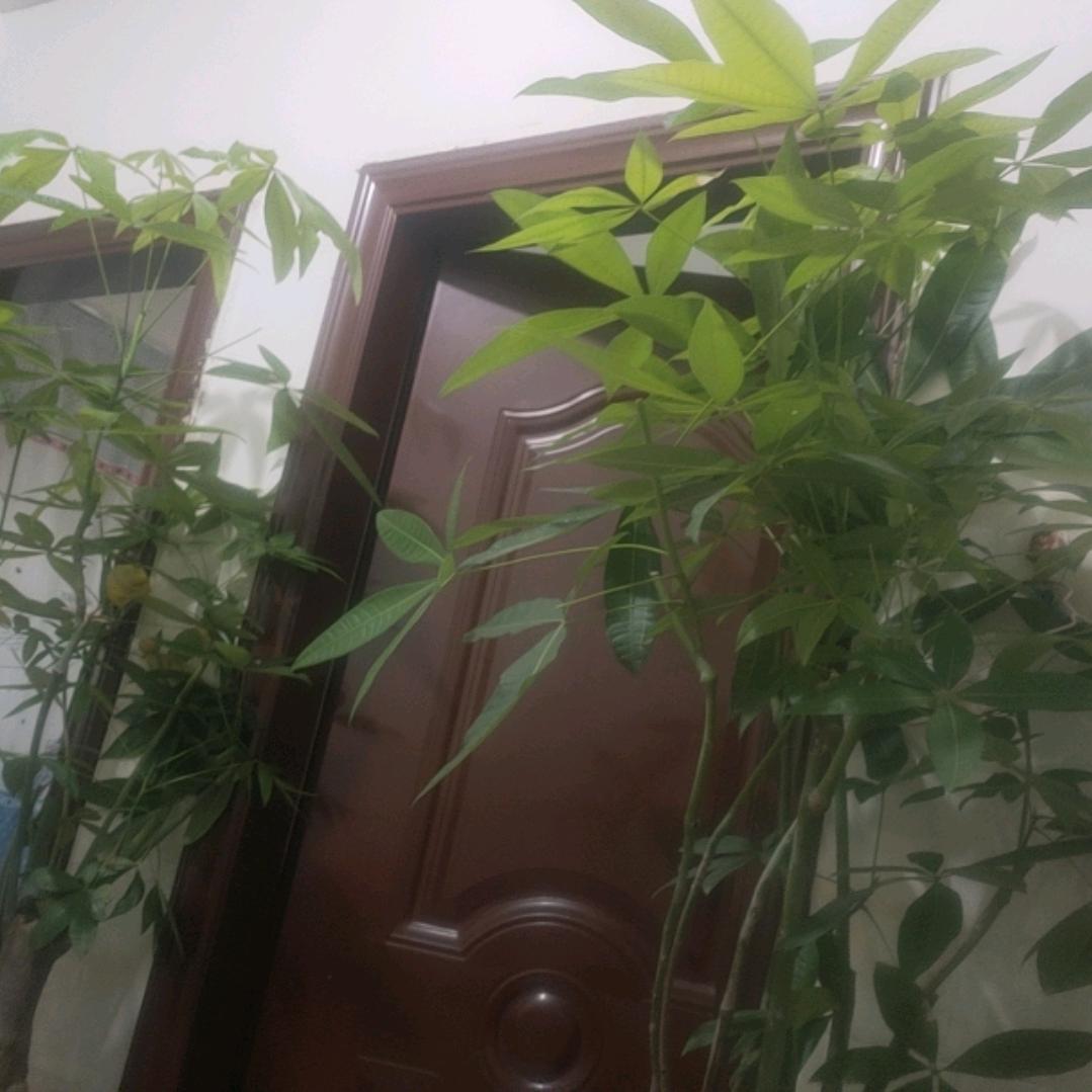 上万块