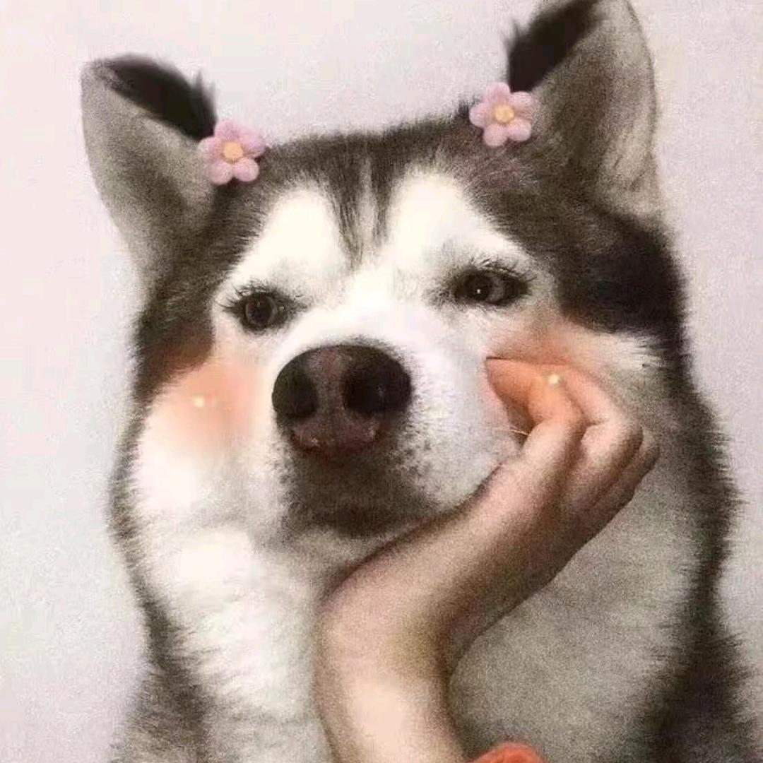 阿暖𝓨𝓾