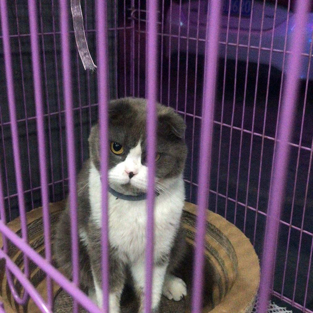 神明不诉人间苦