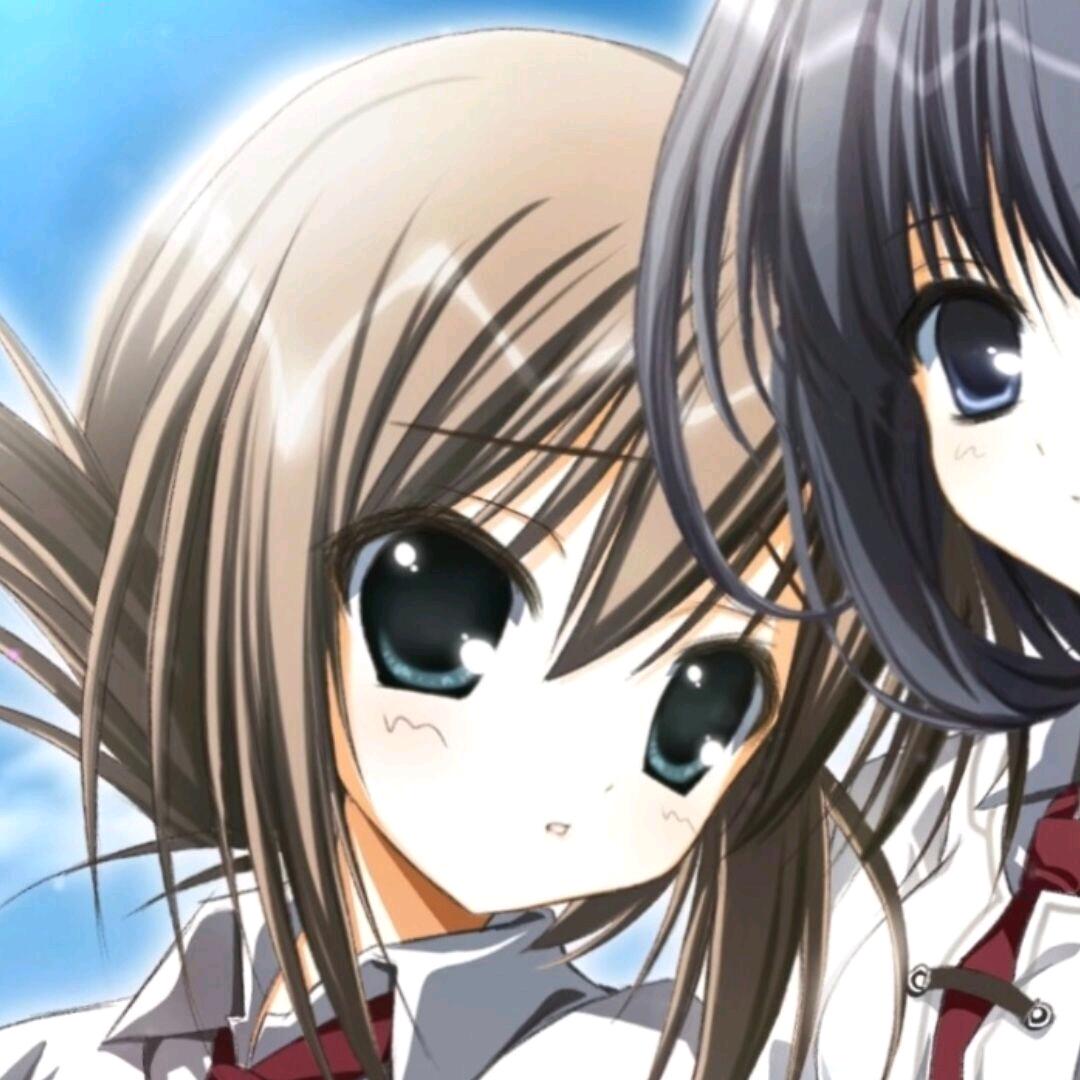 献予星星的爱之花⭐️