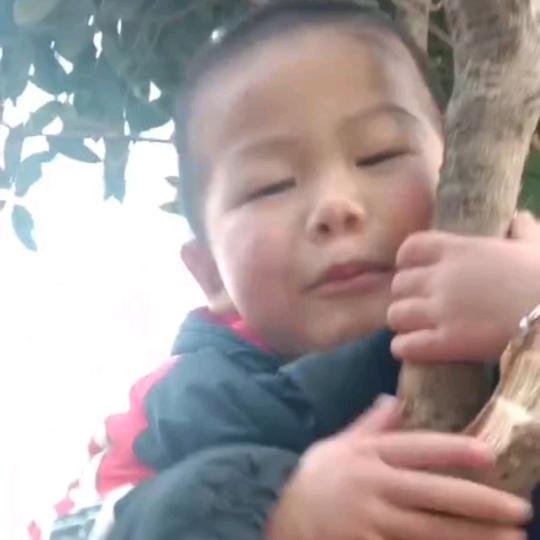 绿林盟生态农牧