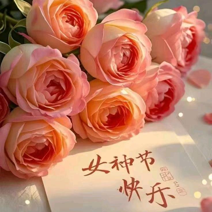 @四叶草
