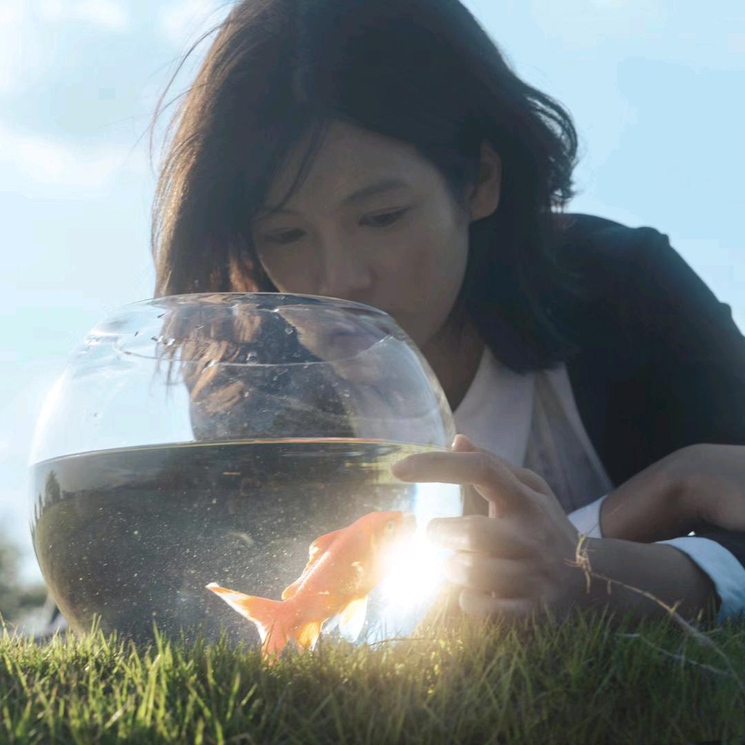 何包蛋.