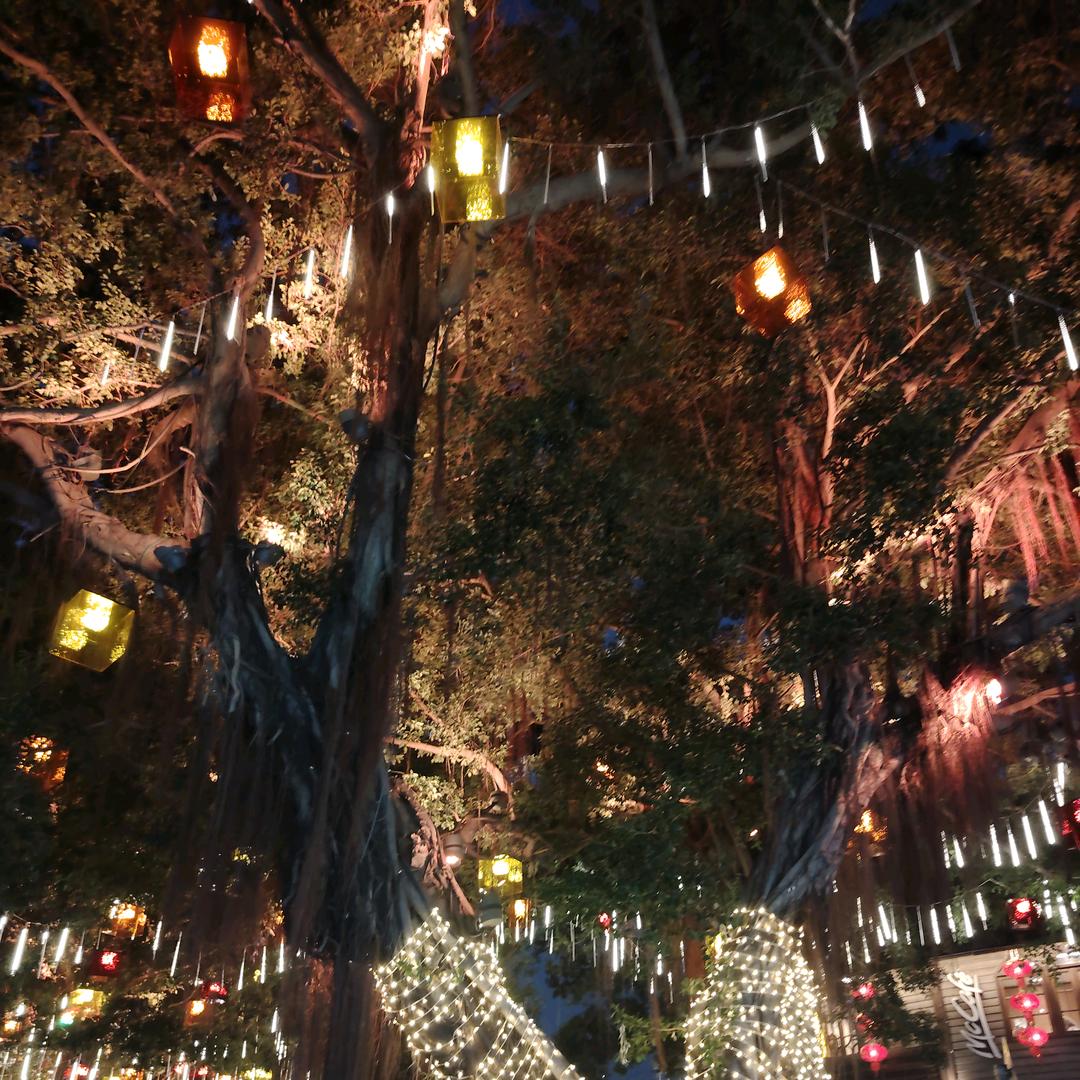 ᨶ႒ᐝ  ～ഒᩚ࿐