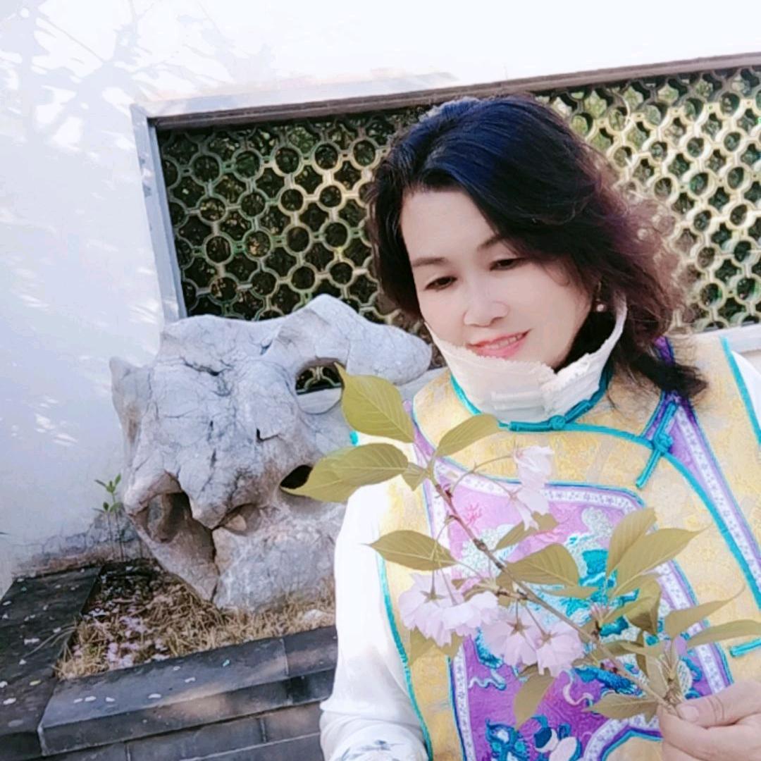 欢乐的巧儿2