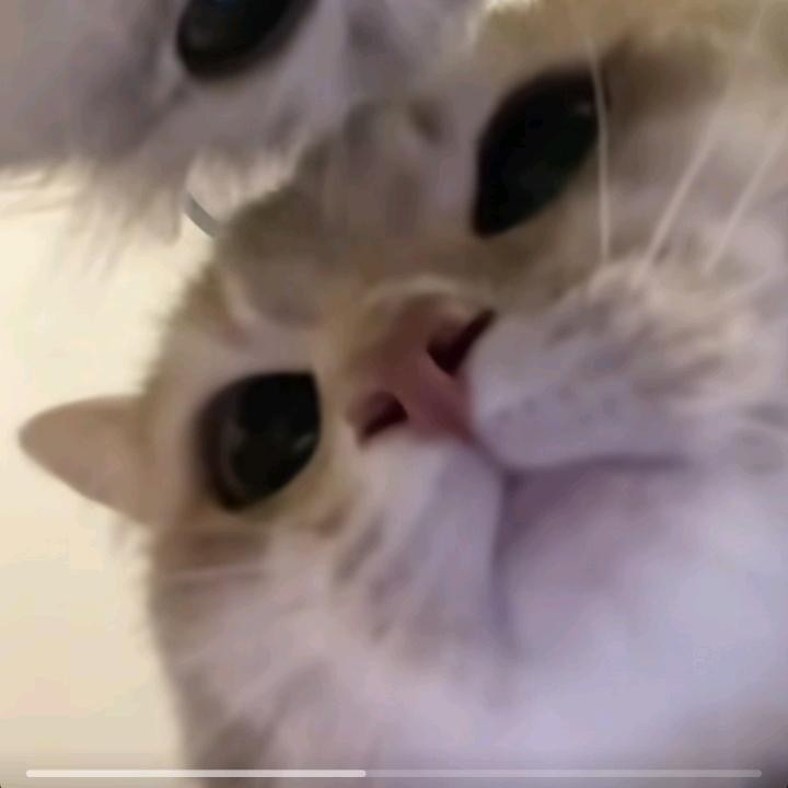 呜呼呼