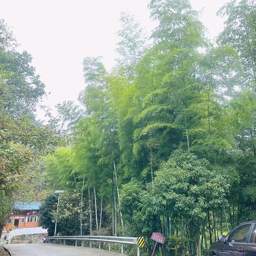 随心所欲