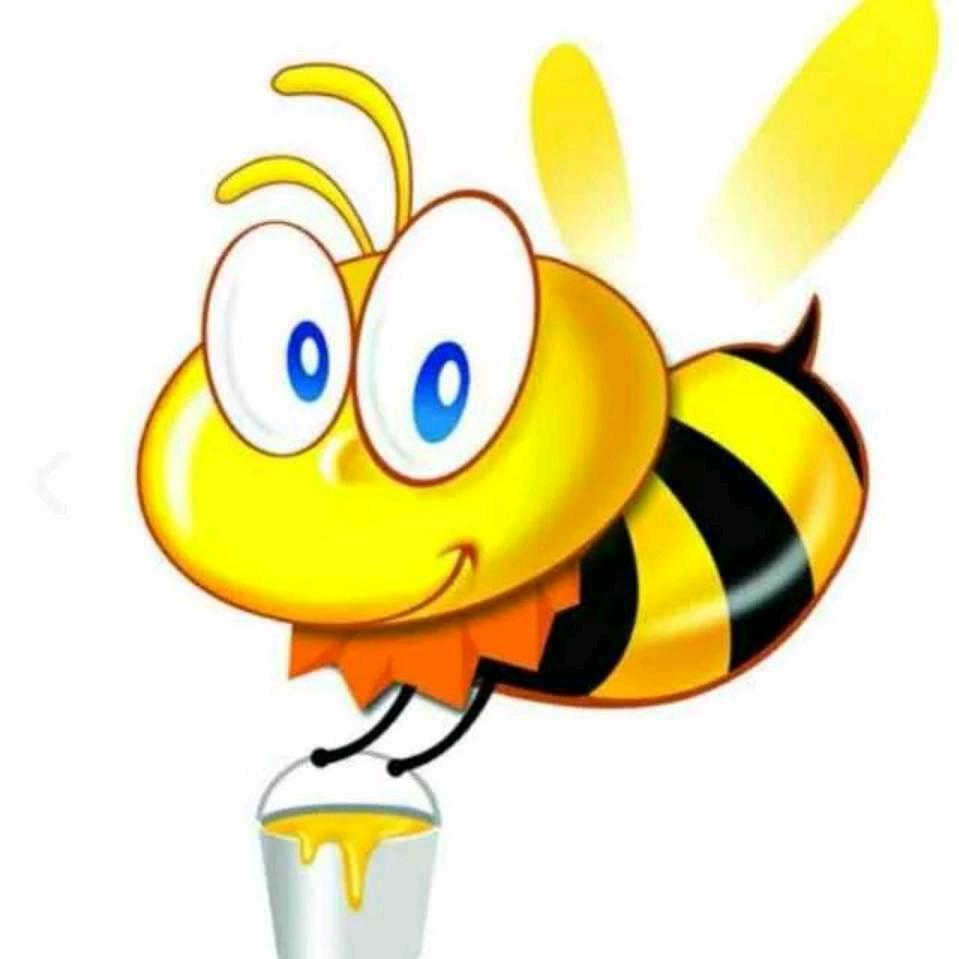 小蜜蜂8