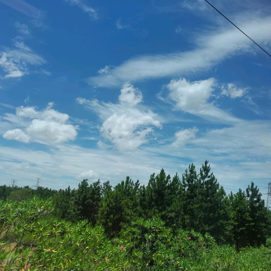 吃饭上班打豆豆
