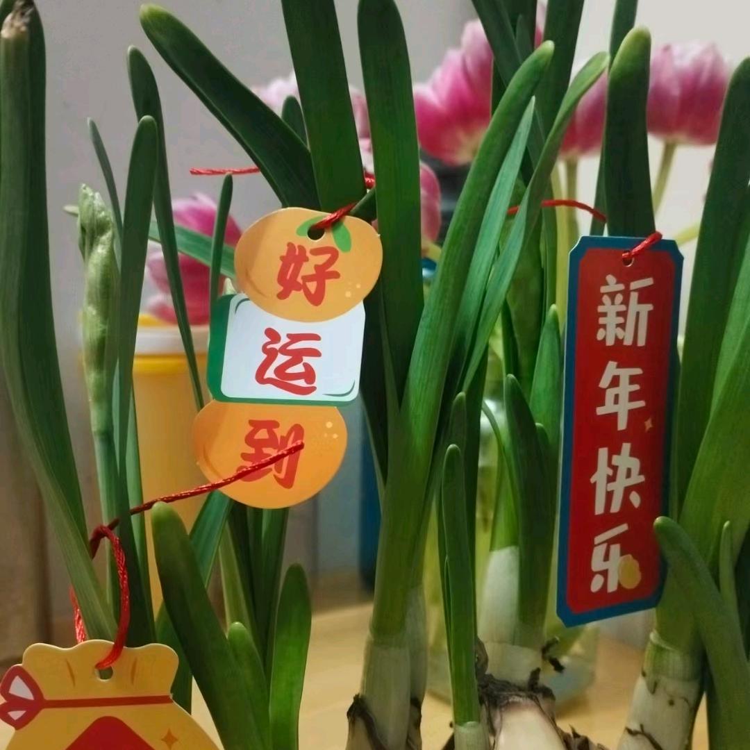 不想那么多
