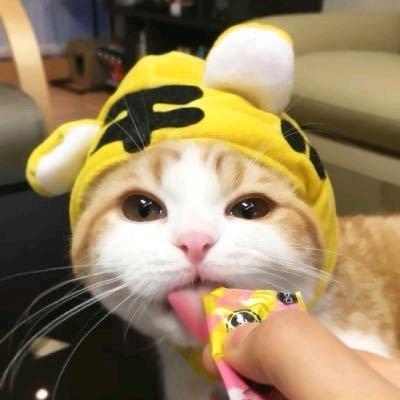 芸溪