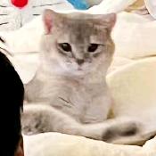 惜念