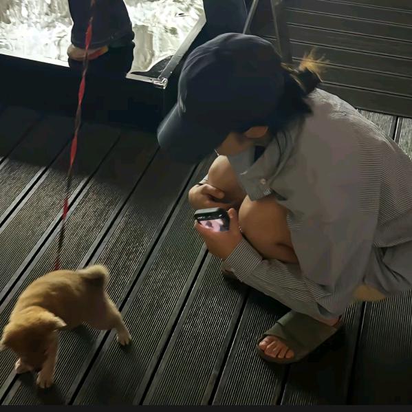 小蔡