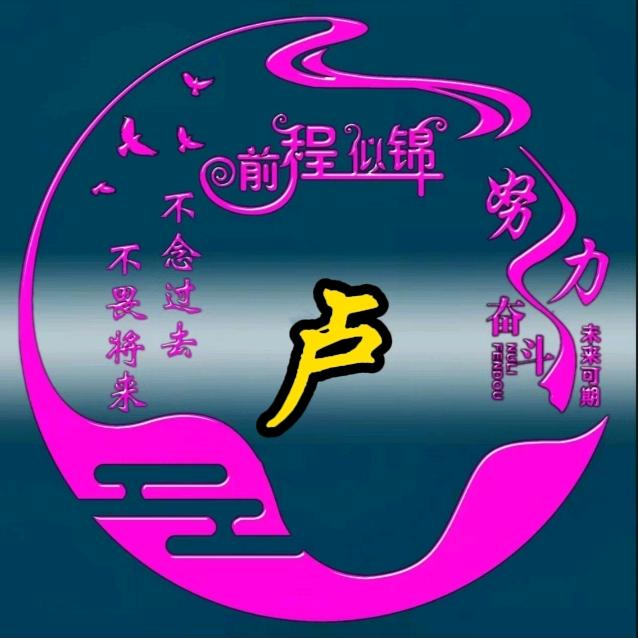 卢哥啊