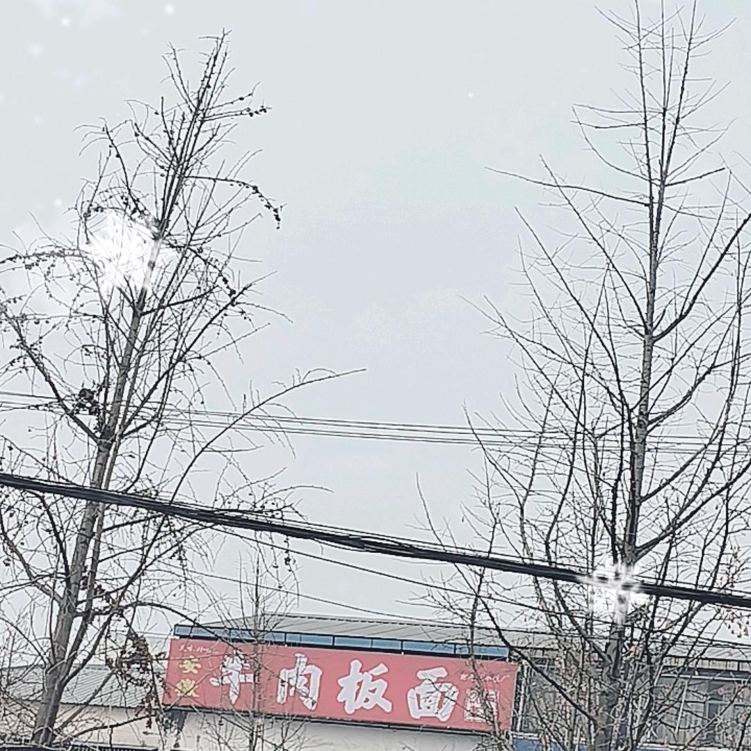 牛肉板面
