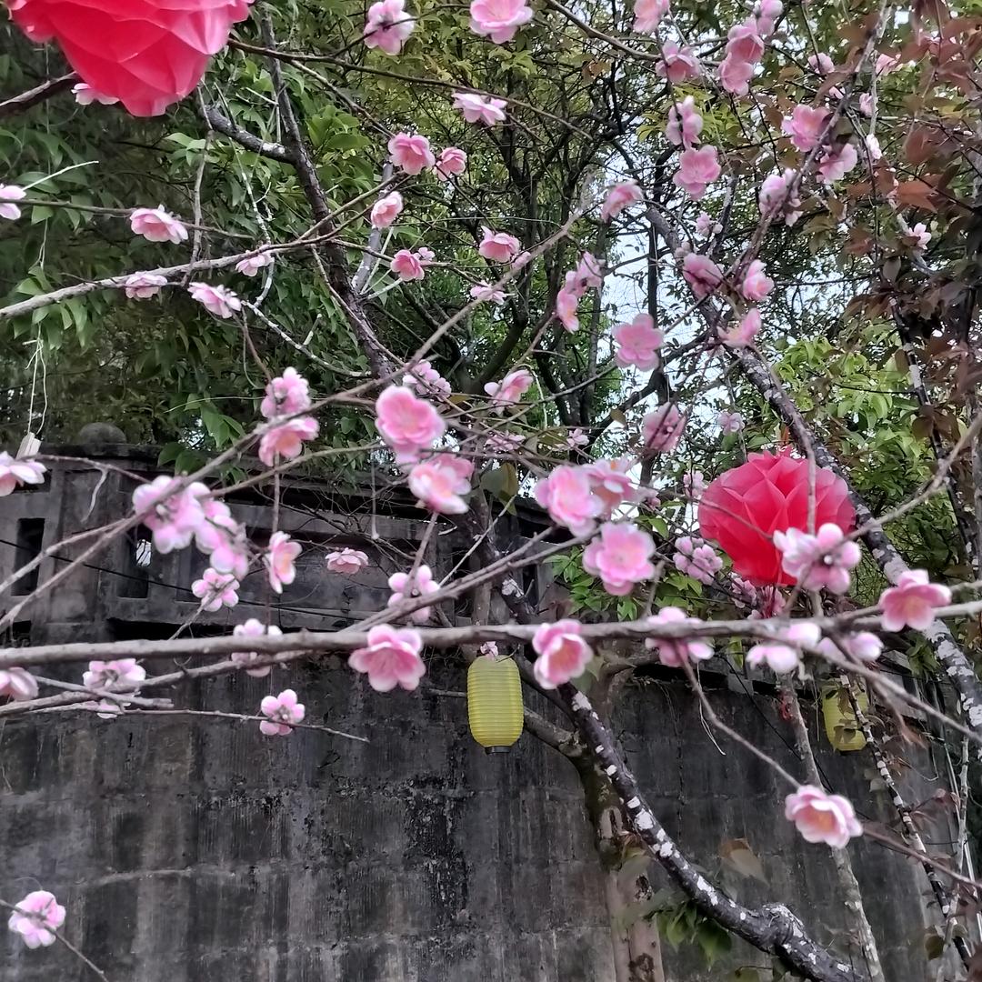 杨叔叔😏