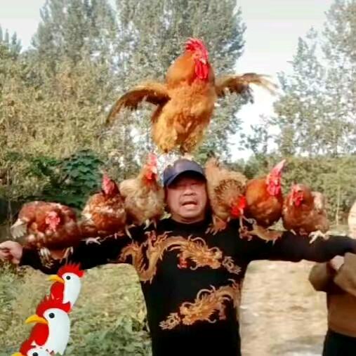 徐州周老七呀