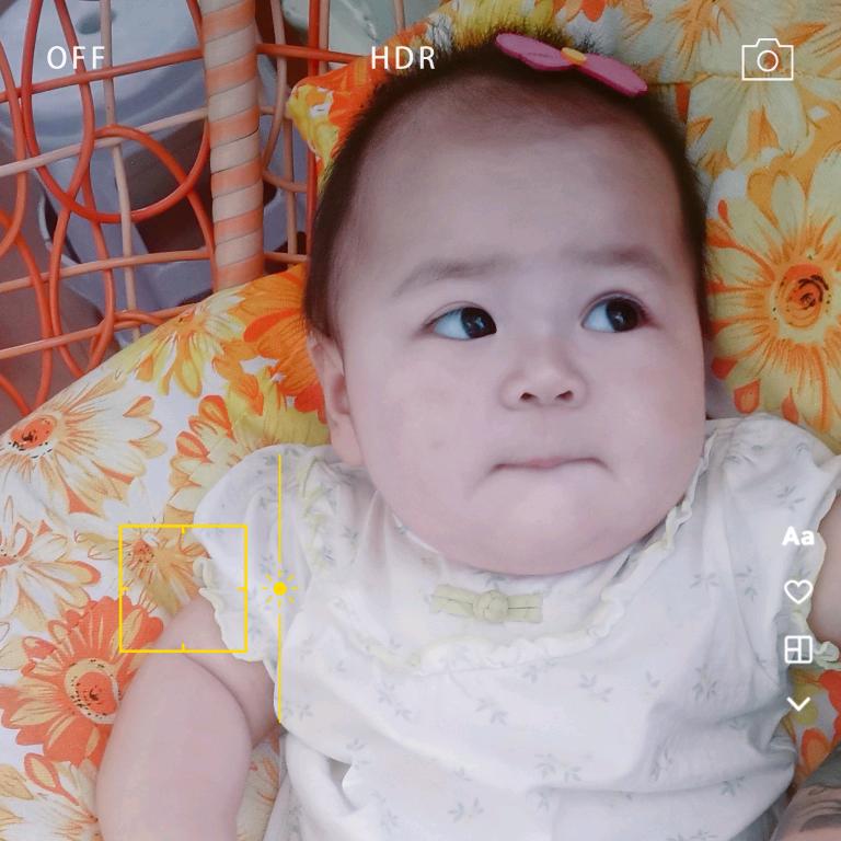 小七不困
